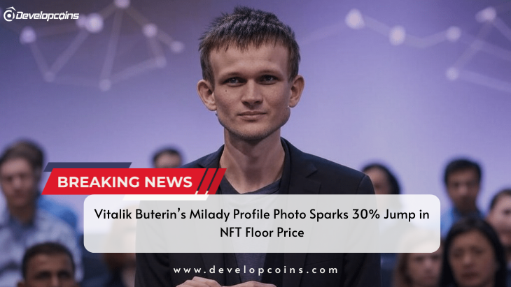 Vitalik Buterin’s Milady Profile Photo Sparks 30% Jump in NFT Floor Price
